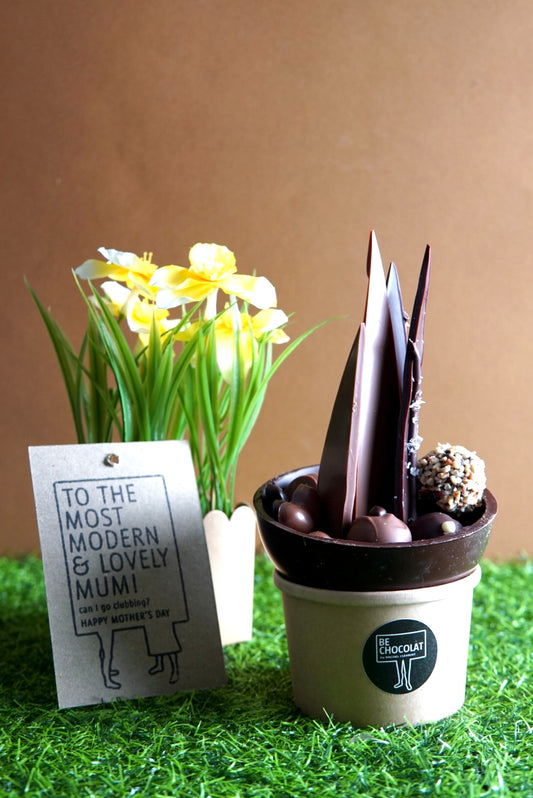 Mothers Day Plant - Collection Only