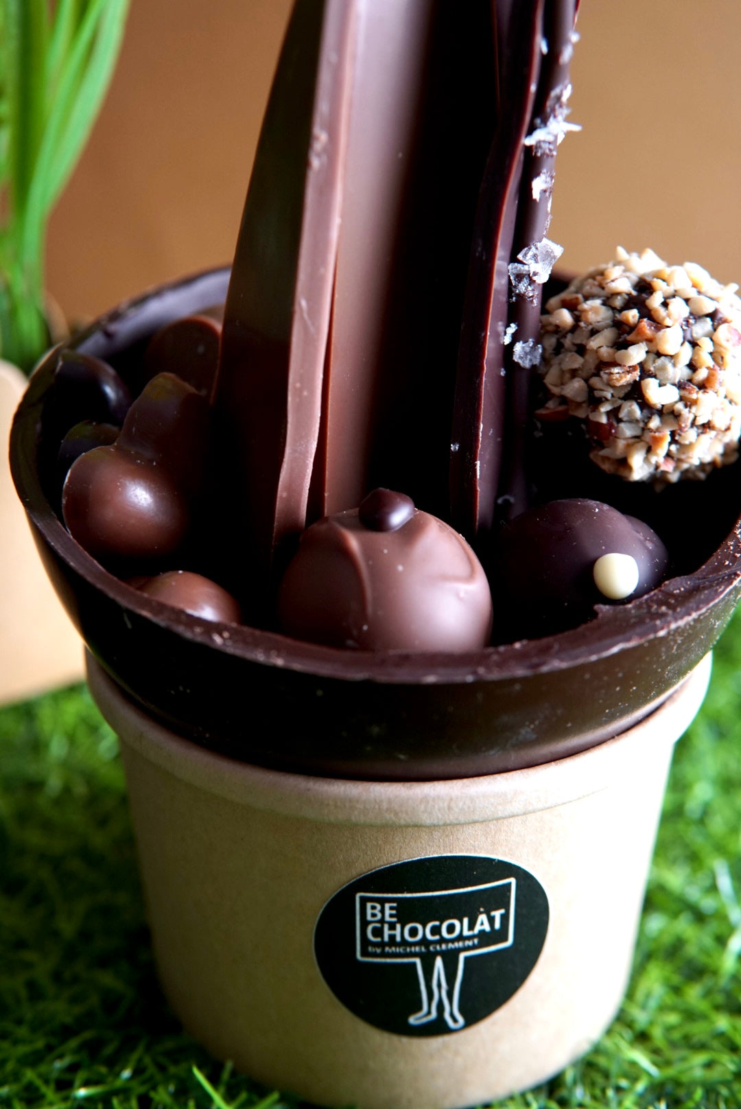 Mothers Day Plant - Collection Only