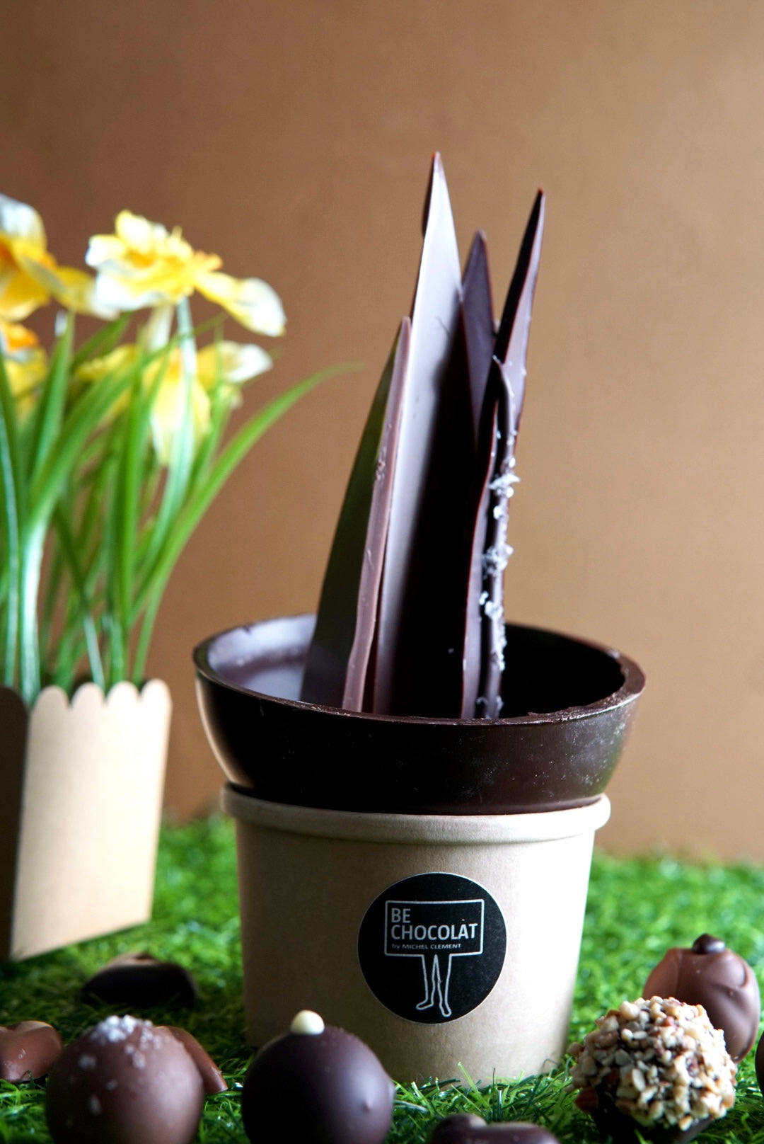 Mothers Day Plant - Collection Only