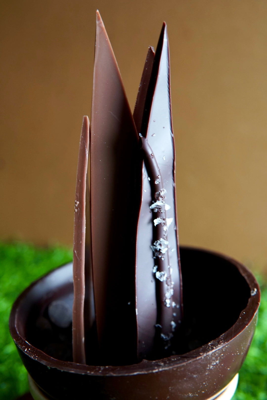 Mothers Day Plant - Collection Only