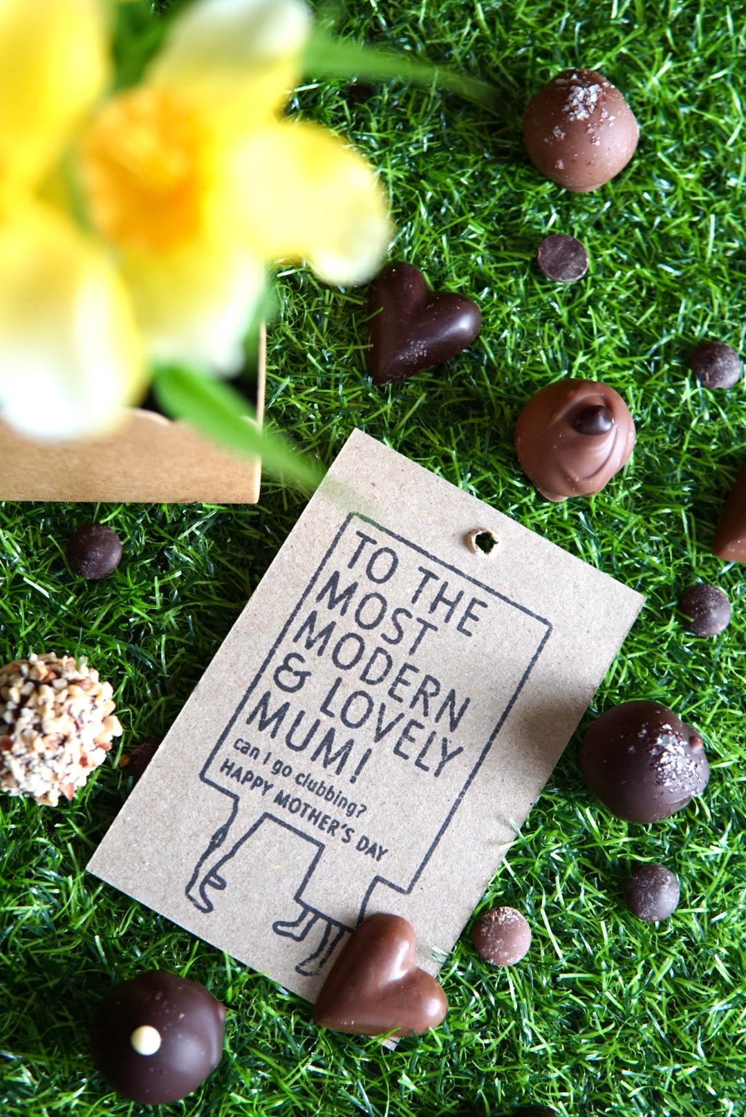 Mothers Day Plant - Collection Only